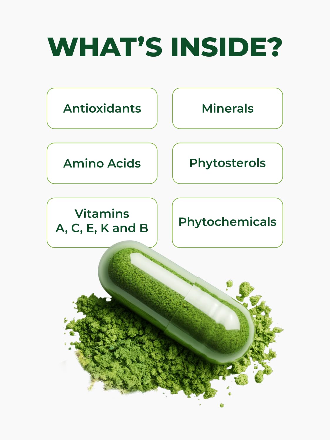 PURA VIDA MORINGA Organic Moringa Capsules, Pure Moringa Leaf Powder Single Origin for Energy, Metabolism & Immune Support Pura Vida Moringa