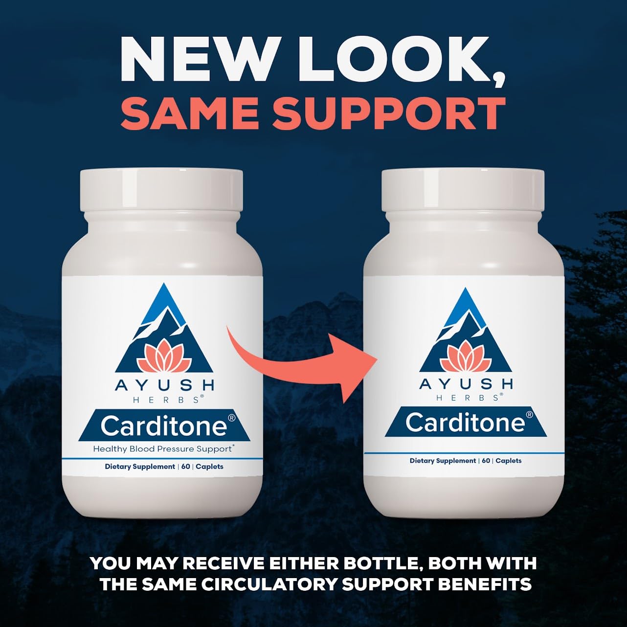 Ayush Herbs Carditone - Natural Heart Health Supplement for Women & Men, BP Formula, Holistic Heart Support with Rauwolfia, Arjuna, Calcium Ayush Herbs