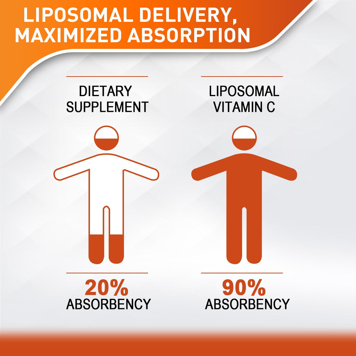 Vitablosom Liposomal Vitamin C 2000mg Liquid for Adults, High Absorption VIT C, Maximize Vitamin C, Immune System & Antioxidant Support, 60ML (2 Bottle) Vitablosom
