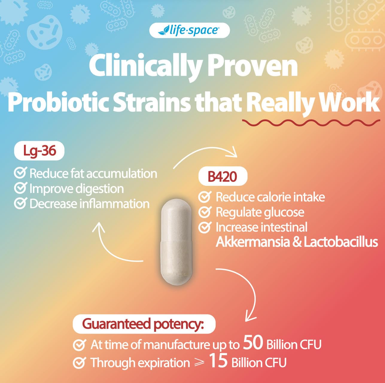 Life-Space Shape B420 Probiotics for Shape Better, Boost, Clinically Backed Metabolism Support, Prebiotic + Probiotics for Women and Men Life-Space
