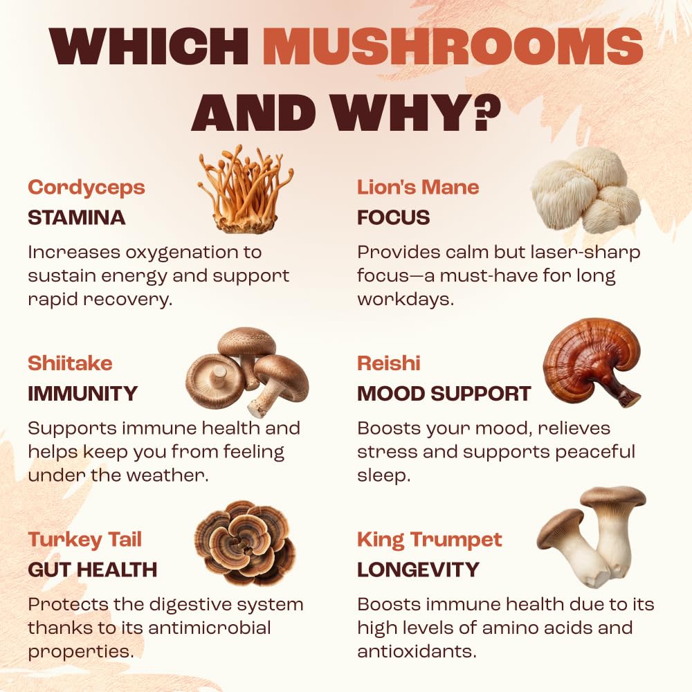 RYZE SUPERFOODS Mushroom Medium Roast Coffee USDA Organic with 6 Adaptogenic Mushrooms, USA Grown Instant Coffee for Better Energy RYZE SUPERFOODS