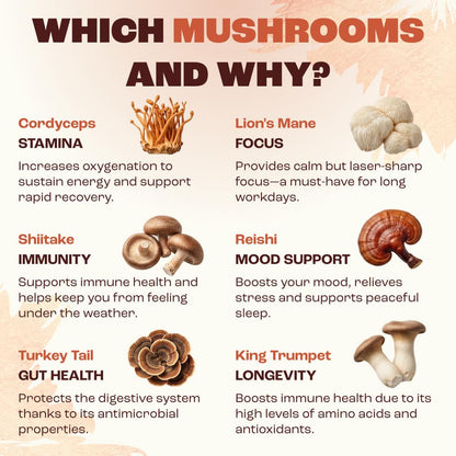 RYZE SUPERFOODS Mushroom Medium Roast Coffee USDA Organic with 6 Adaptogenic Mushrooms, USA Grown Instant Coffee for Better Energy RYZE SUPERFOODS