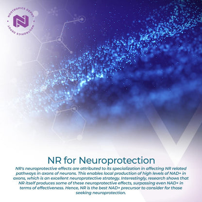 Nootropics Depot Nicotinamide Riboside Capsules | 300mg | NAD+ Precursor | 30 Count | Promotes NAD+ Levels | Cellular Energy