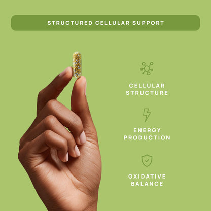 C15:0 Pentadecanoic Acid Supplement | Longevity, Cellular & Membrane Support, Micro-Granule Enhanced Absorption, Phosphatidylcholine, L-Carnitine, Stay-Well Naturals