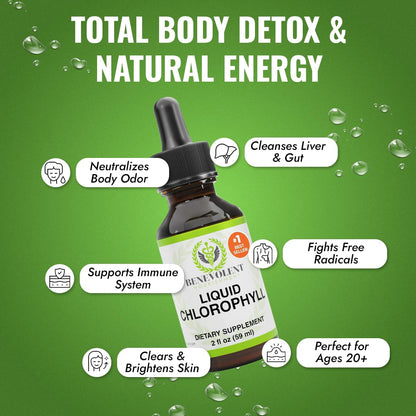 Benevolent Nourishment Chlorophyll Supplement, Detox & Immune Support, Internal Deodorizer, Liquid Drops Benevolent Nourishment