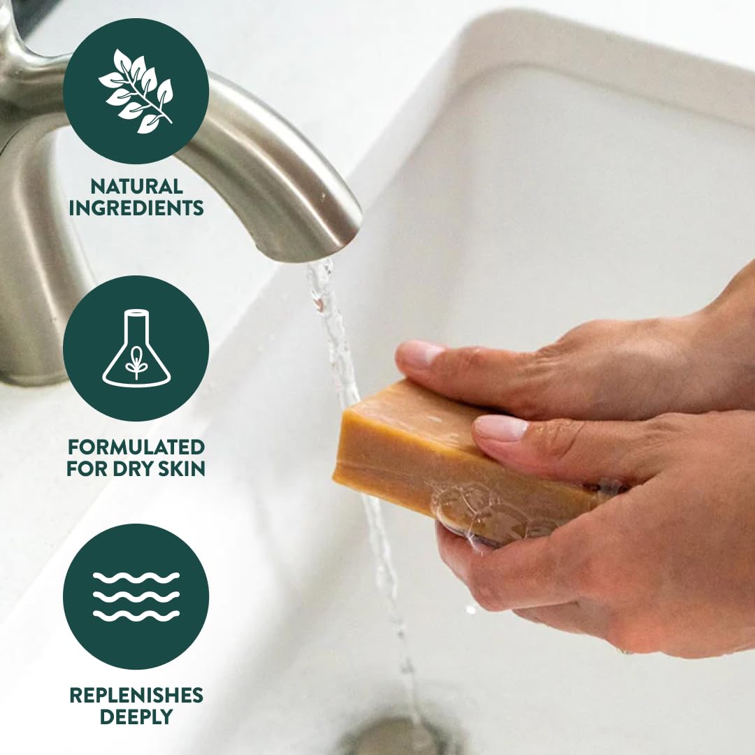 Crate 61 Organics, Handmade in Canada, Plant Based Cold Process Natural Bar Soap, With Premium Essential Oils, Dry Skin, Pack of 6 (For Him) Crate 61 Organics