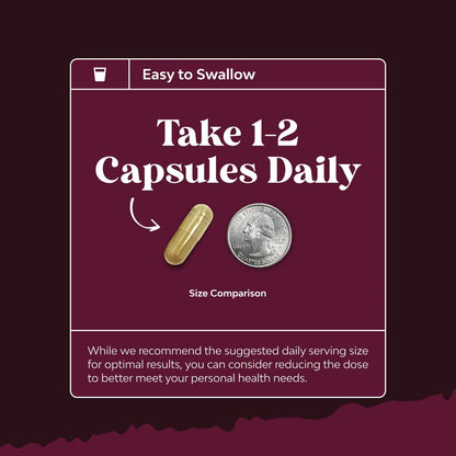 Advanced Kidney Cleanse Support - Cranberry Supplement - 60 Capsules | Kidney Support Supplement with Uva Ursi, Stinging Nettle Leaf & Astragalus - Urinary Tract Support - Vegan - 60 Servings Gsupps Australia