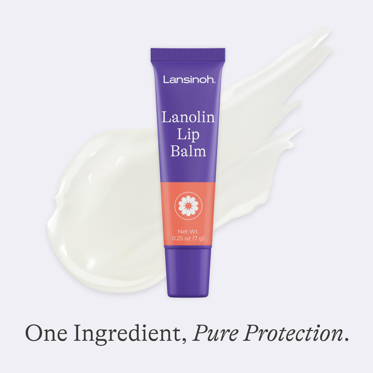 Lansinoh Lanolin Lip Balm, 2 Pack of 0.25 Ounces Each Lansinoh