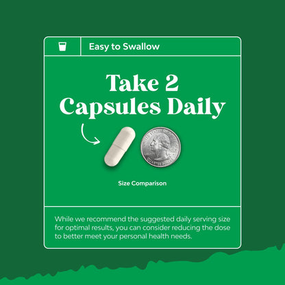 Prebiotics and Probiotics Gut Health Supplement-Super Potent Digestive Health Acidophilus Probiotic Capsules with Men & Womens Probiotics & Prebiotics Natures Craft