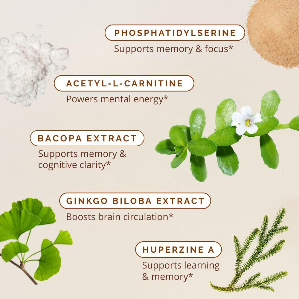 BRAINMD Dr Amen Brain & Memory Power MAX - 120 Capsules - Nootropic Supplement with Ginkgo Biloba Extract & Huperzine A - 30 Servings | Nootropic Supplement, Ginkgo Biloba Extract, Huperzine A, 30 Servings