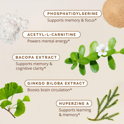 BRAINMD Dr Amen Brain & Memory Power MAX - 120 Capsules - Nootropic Supplement with Ginkgo Biloba Extract & Huperzine A - 30 Servings | Nootropic Supplement, Ginkgo Biloba Extract, Huperzine A, 30 Servings