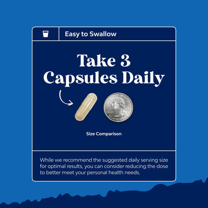 Pre Conception Male Fertility Supplement - Semen Volume Booster with CoQ10, Maca Root, Methyl Folate & D-Aspartic Acid - Mens Fertility Supplement for Sperm Motility - Conception for Him - 90 Count Gsupps Australia