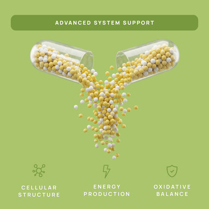 C15:0 Pentadecanoic Acid Supplement | Longevity, Cellular & Membrane Support, Micro-Granule Enhanced Absorption, Phosphatidylcholine, L-Carnitine, Stay-Well Naturals