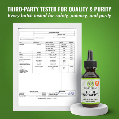 Benevolent Nourishment Chlorophyll Supplement, Detox & Immune Support, Internal Deodorizer, Liquid Drops Benevolent Nourishment