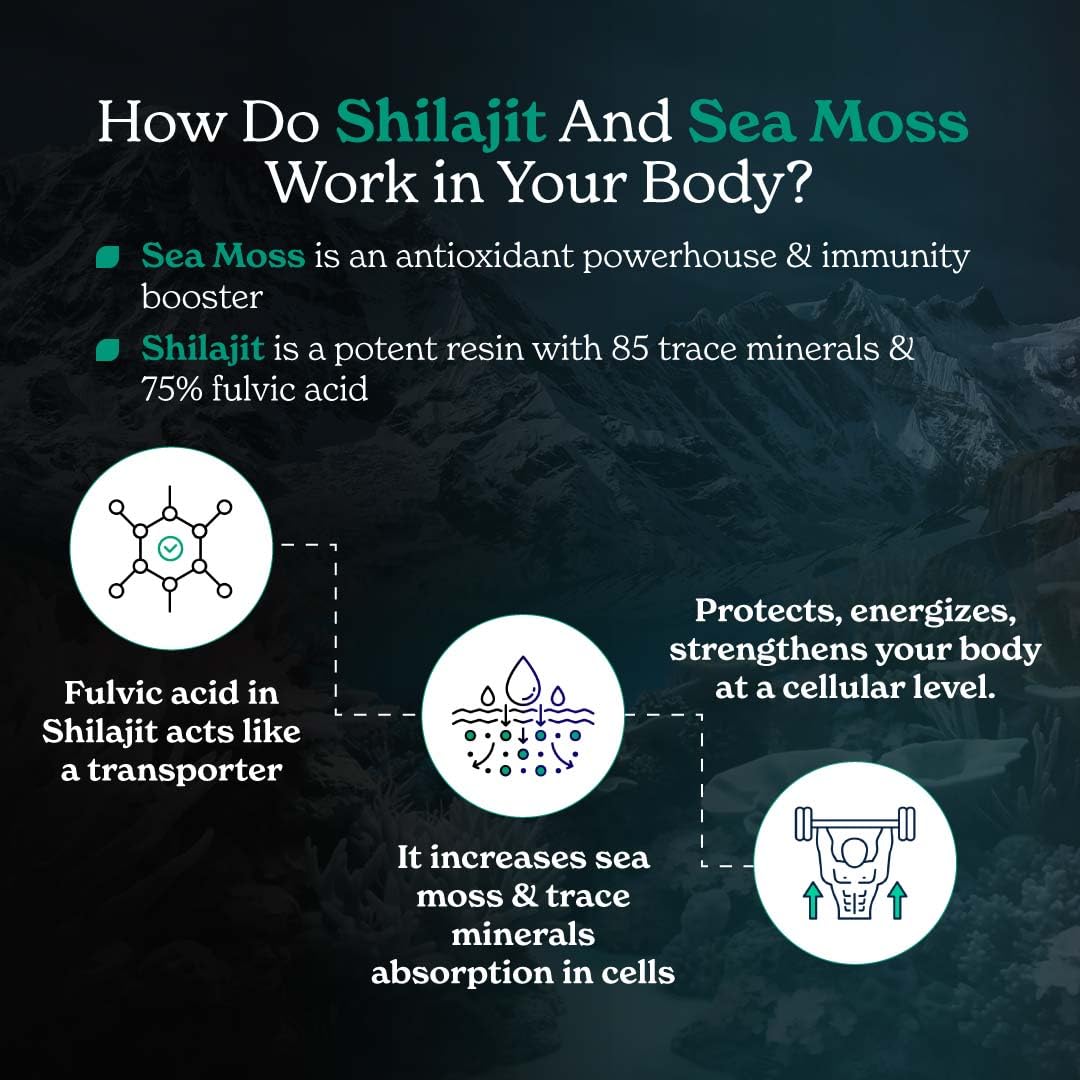 Better Alt Shilajit Sea Moss Capsules Pack of 2 with Ashwagandha & Black Pepper Extract with 85+ Essential Minerals & Antioxidants| Boosts Energy & Metabolism - 120 Servings, 240 Capsules Better Alt buy australia supplements