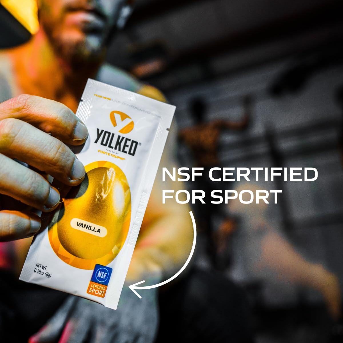 YOLKED - NSF-Certified Muscle Building Supplement - Help Increase Lean Muscle, Reduce Muscle Loss, and Improve Recovery with Fortetropin, 30 Servings YOLKED buy australia supplements