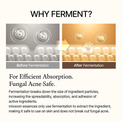 mixsoon Bean Essence Exfoliating, Snail Mucin Moisturizer for Hydrating, Fermented Bean Extract, Gentle Formula mixsoon