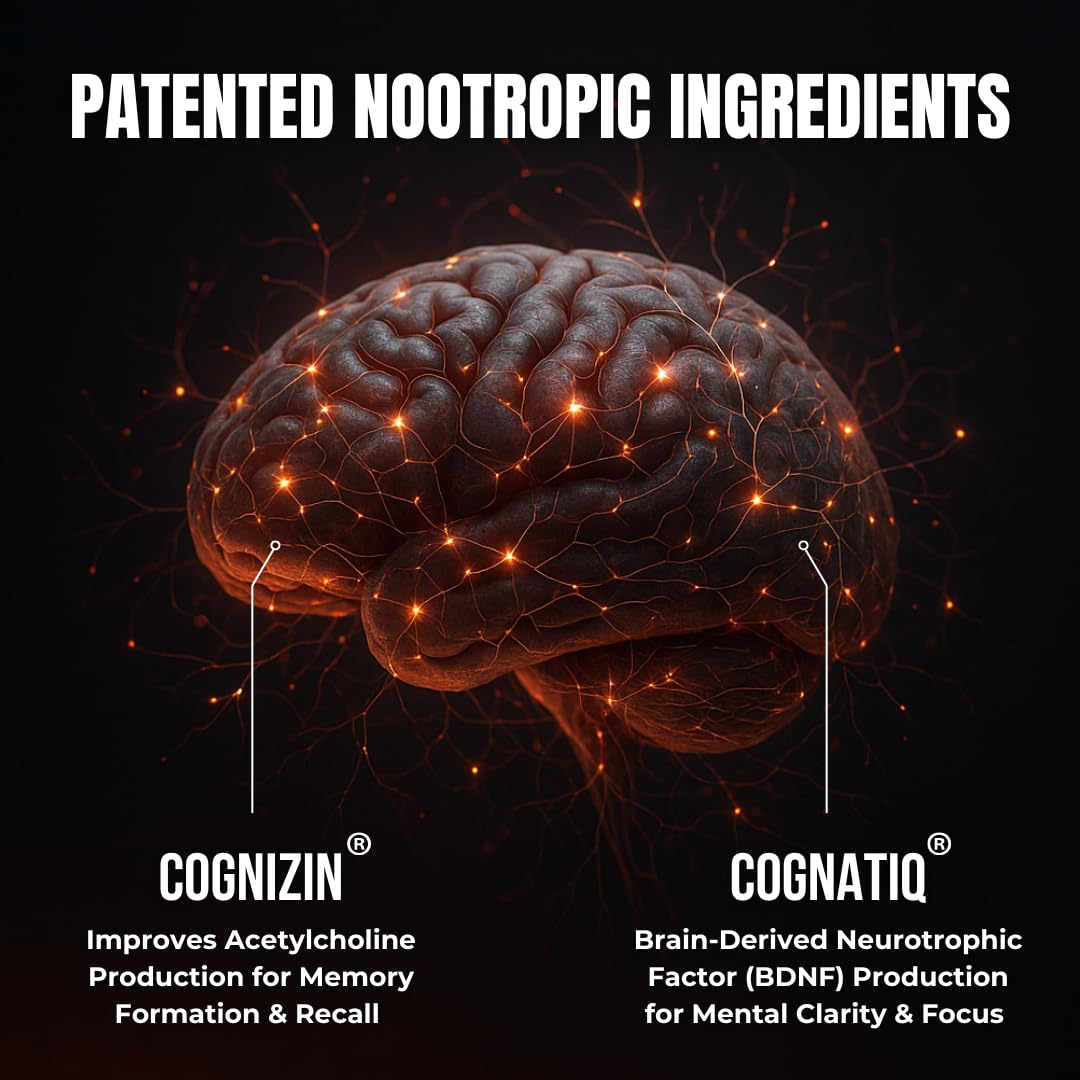 Advanced Nootropic Brain Supplement for Energy, Memory, & Focus | Lion's Mane, Caffeine, L-Theanine, and 5 Additional All-Natural Ingredients to Improve Cognitive Health (90 Capsules) HUMBLEROOTS PERFORMANCE buy australia supplements
