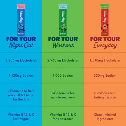 Waterboy Hydration Recovery Variety | 4-9x Electrolyte Powder Packets | Ginger + L-Theanine + L-Glutamine + Vitamins | No Sugar, All Natural, Gluten Free Waterboy