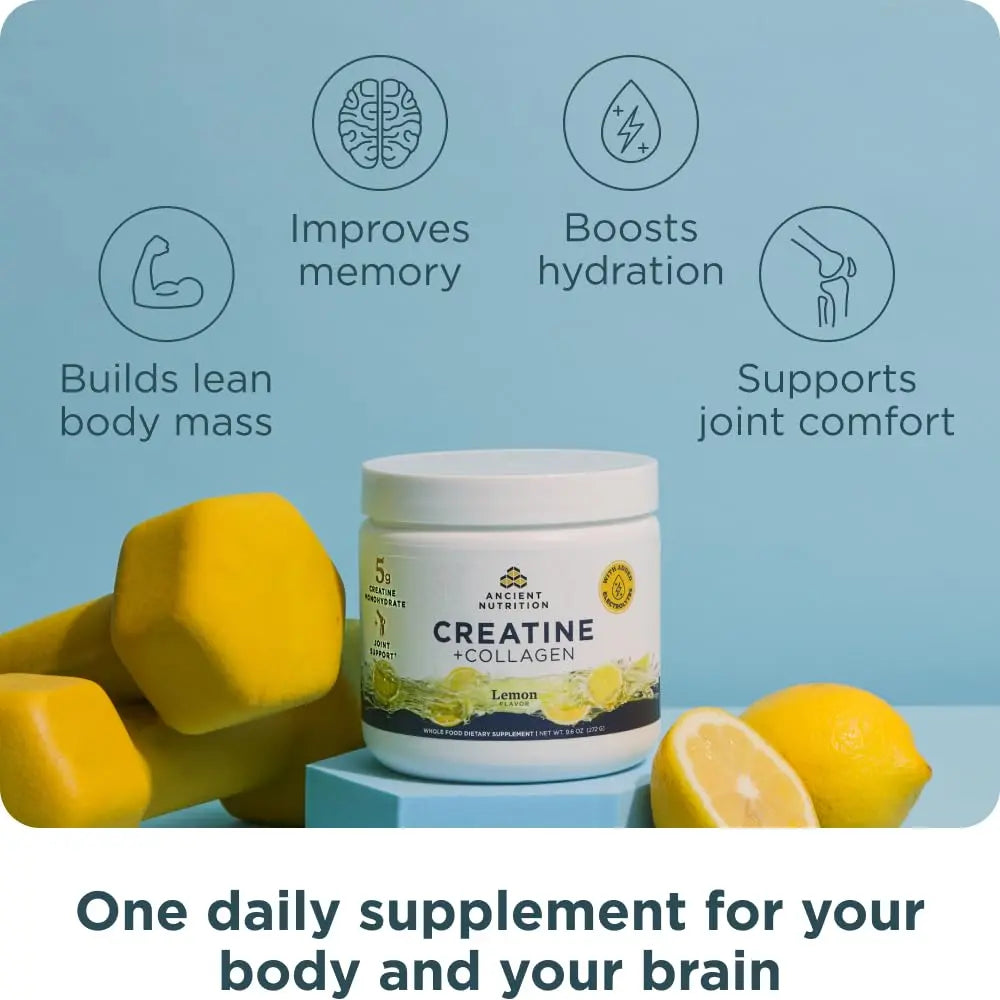 Ancient Nutrition Creatine + Collagen + Electrolytes – Muscle Strength, Lean Body Mass, Joint Comfort & Cognitive Support – Includes 5g Creatine Monohydrate for Women Ancient Nutrition
