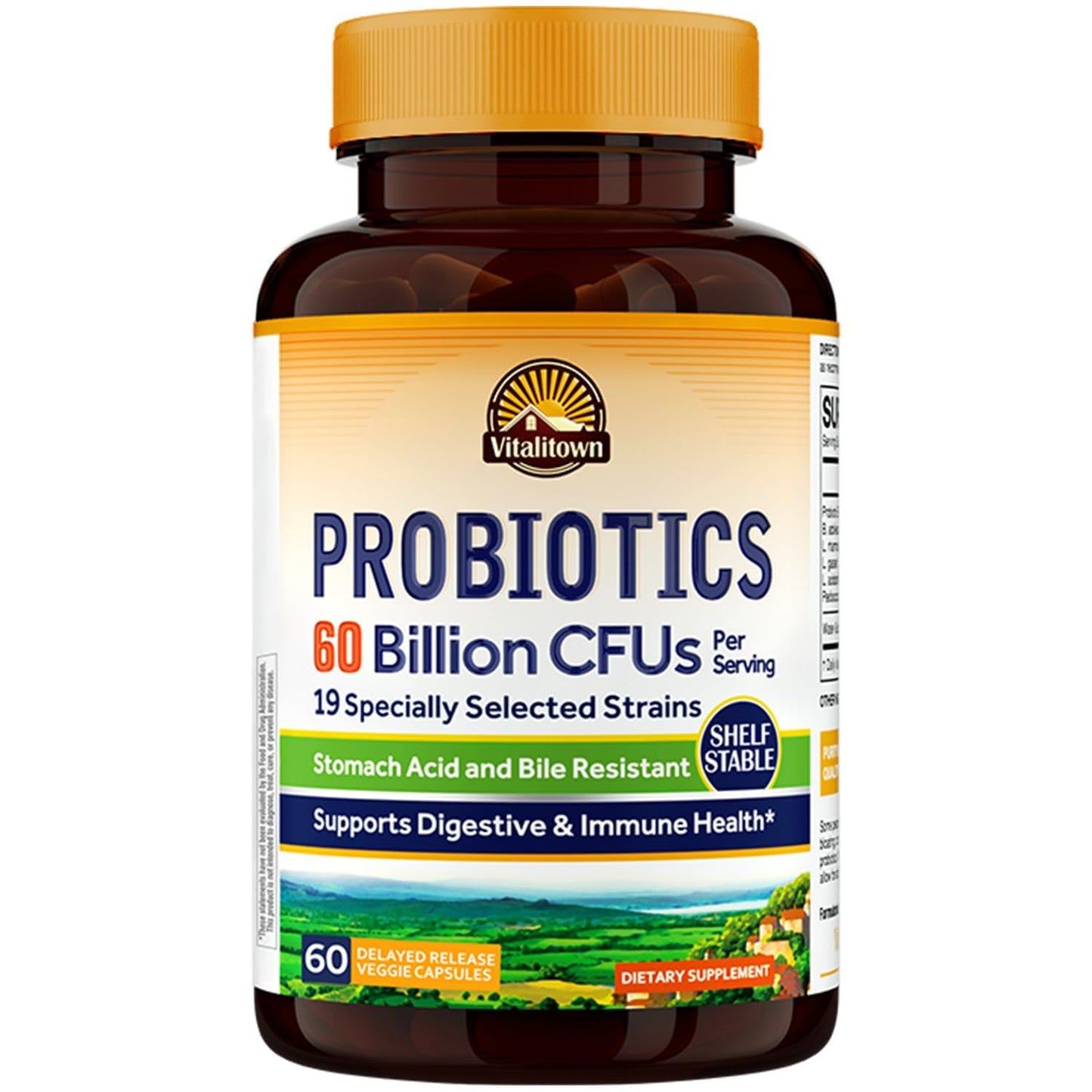 Vitalitown Probiotics + Prebiotics | 60 Billion CFUs 19 Strains | 60 Delayed Release Veg Caps | Shelf Stable, Prebiotics and Probiotics | Digestive Health Vitalitown