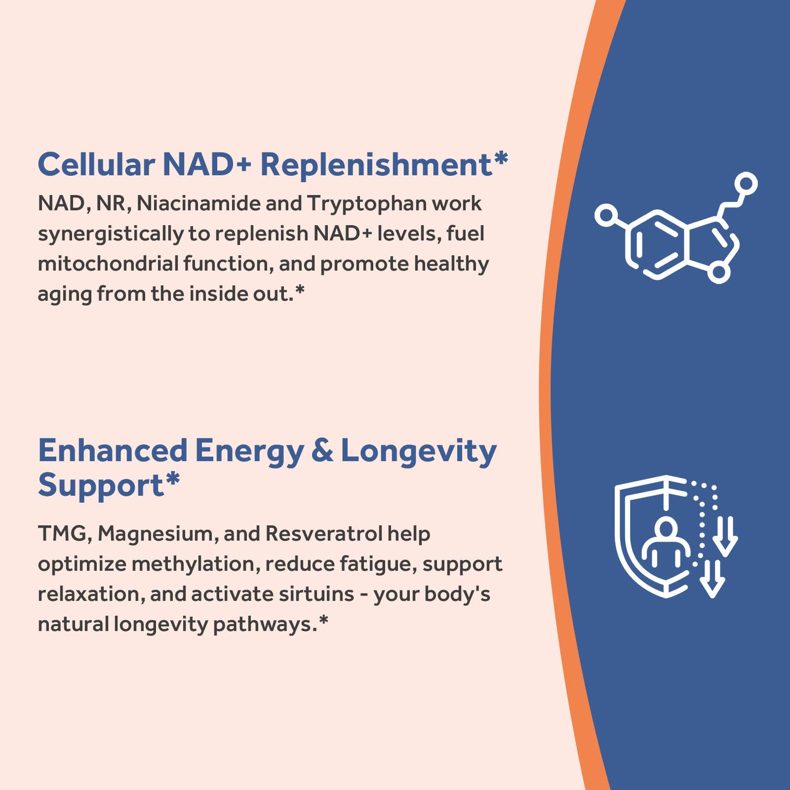 Doctor's Recipes NAD Supplement, Nicotinamide Riboside, Resveratrol, NMN Alternative for Anti-Aging, w/Magnesium Glycinate & L-Tryptophan, 650mg Per Serving, Energy & Mood Boost, 60 Vegan Capsules Doctor's Recipes buy australia supplements