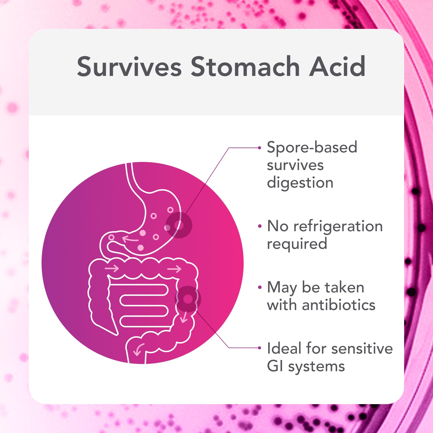Biocidin Proflora 4R Spore Probiotic - Digestive Health Probiotics for Women & Men - Clinically Researched Bacillus Strains & Organic Aloe, Marshmallow Root for Gut Support (30 Vegan Capsules) Bio-Botanical Research buy australia supplements