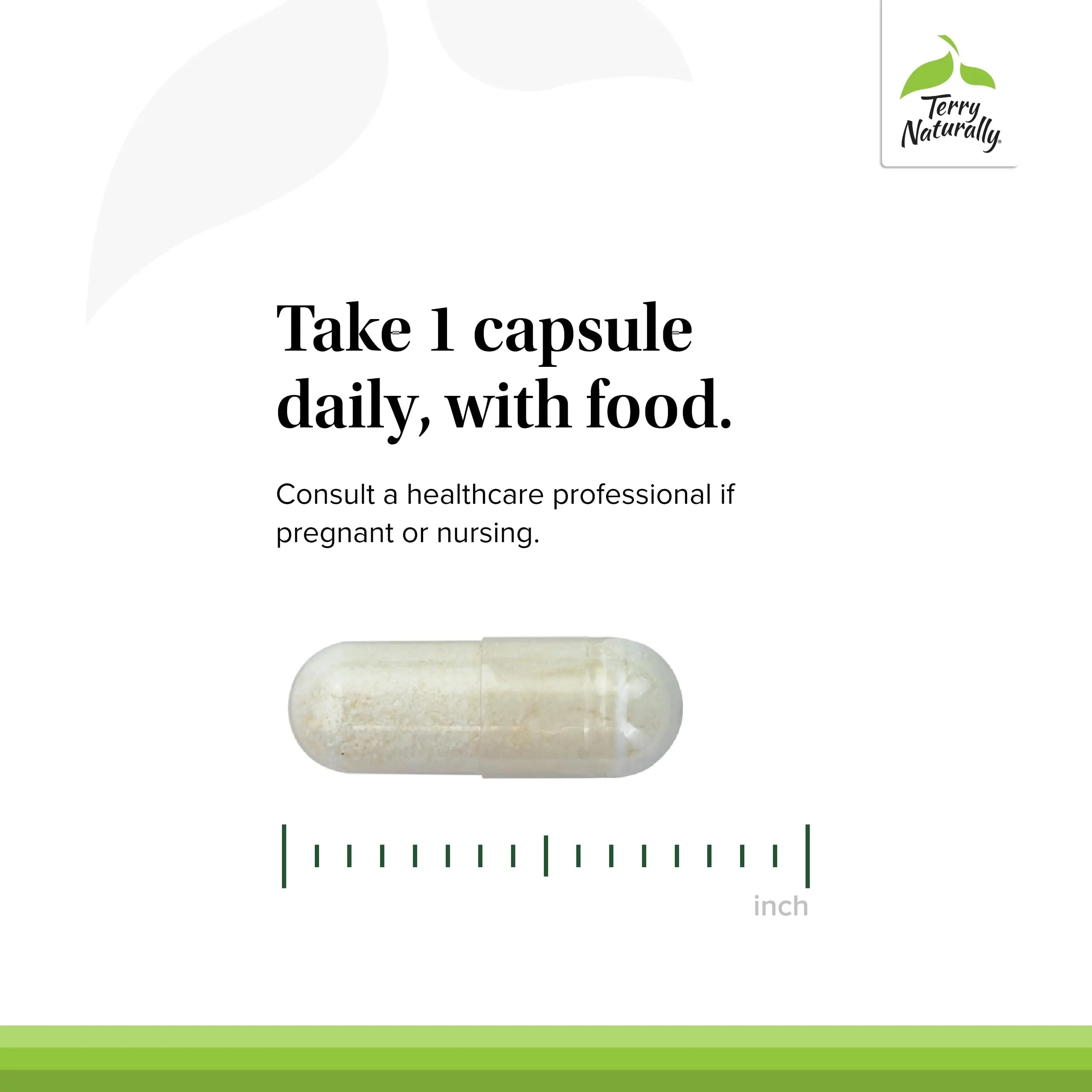 Terry Naturally FloraSure Probiotic - Digestion Supplement to Aid Against Occasional Bloating & Support Gas Relief - Gut Health Support with Bifidobacterium Bifidum - 30 Capsules (Pack of 2) Terry Naturally buy australia supplements