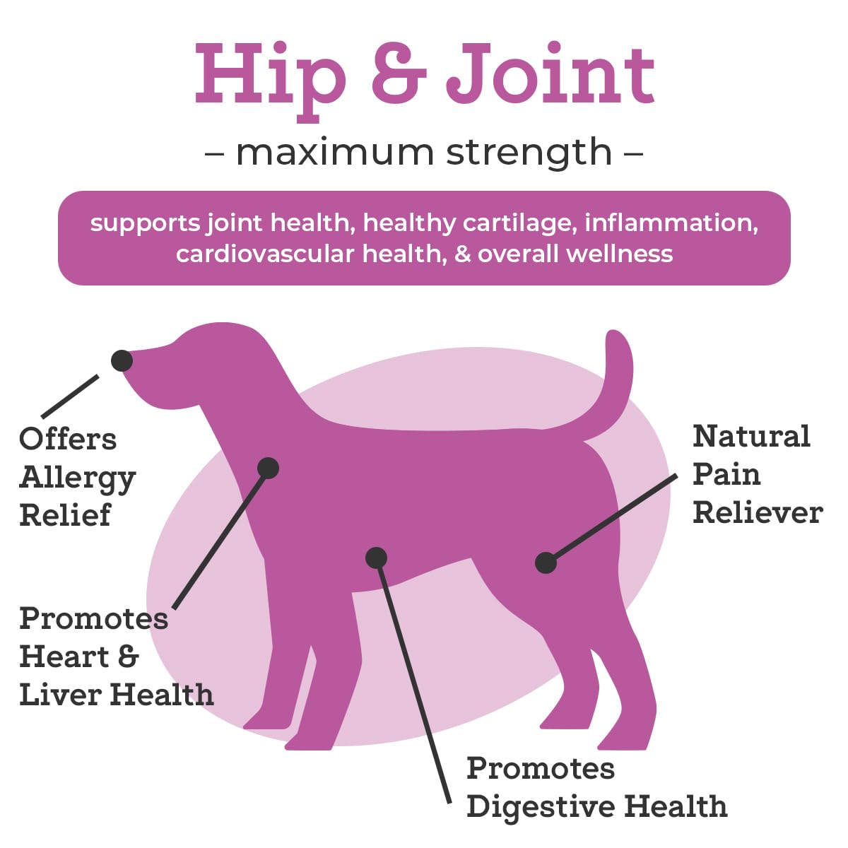 VetPro Dog Hip and Joint Supplement - Pain and Inflammation Relief Chews VetPro Complete buy australia supplements