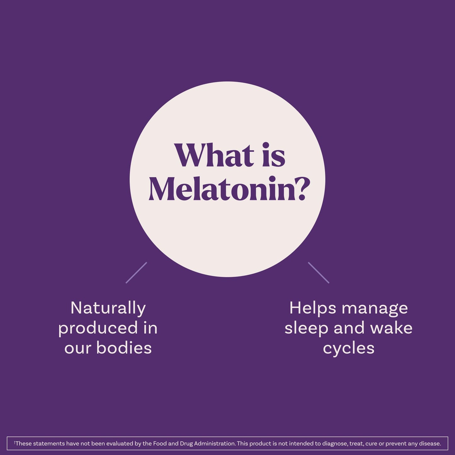 Natrol Liquid Melatonin 1 mg, Adult Melatonin Supplement to Fall Asleep Faster and Stay Asleep Longer, Wake Up Refreshed, Natrol
