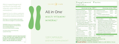 Holistic Health All in ONE Multi Vitamin and Mineral for Antioxidant Boost, Multi Minerals Supplement for Supporting Methylation Holistic Health
