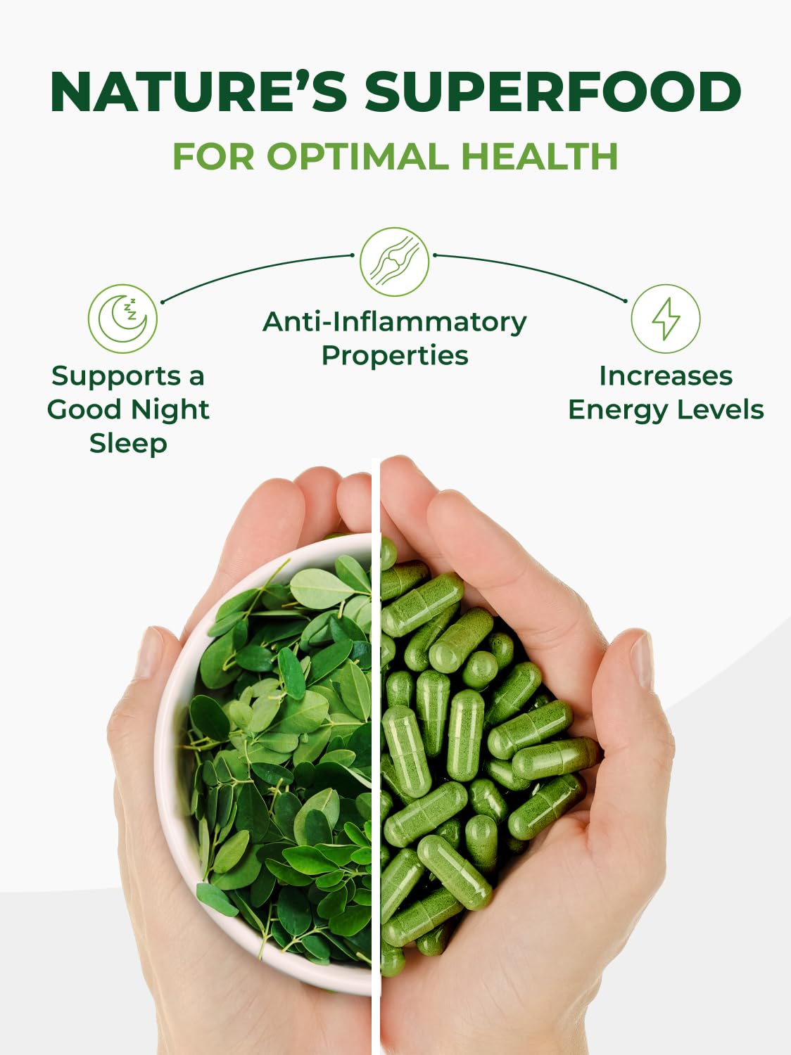 PURA VIDA MORINGA Organic Moringa Capsules, Pure Moringa Leaf Powder Single Origin for Energy, Metabolism & Immune Support Pura Vida Moringa
