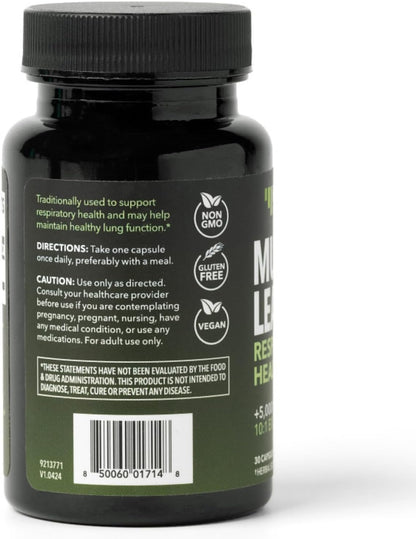 500mg Mullein Extract for Lung Support and Respiratory Health, 30 Count | Mullein Leaf Capsules for Respiratory Health, Vegan, Non-GMO Herbal Supplement for Overall Daily Wellness, 1 Month Supply Gsupps Australia