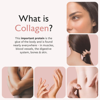 Alaya Naturals Hydrolyzed Multi Collagen Peptides Protein Capsules - Type I, II, III, V, X Grass-Fed Bovine, Chicken, Marine Collagen Supplement with MSM Alaya Naturals