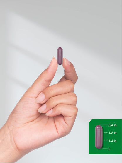 Horbäach Beet Root Powder Capsules | 320 Pills | Non-GMO, Gluten Free Formula | High Potency Herbal Extract Supplement Horbäach