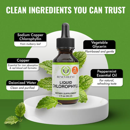 Benevolent Nourishment Chlorophyll Supplement, Detox & Immune Support, Internal Deodorizer, Liquid Drops Benevolent Nourishment