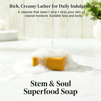 Stem and Soul Soap, Upgraded Stem & Soul Turmeric Lemon Soap Bar For Dark Spots, Support Nourishes And Clarifies Help Cleaning Facial And Body Skin, And Suitable Dry And Oily Skin. (1 Pcs) Stem and Soul
