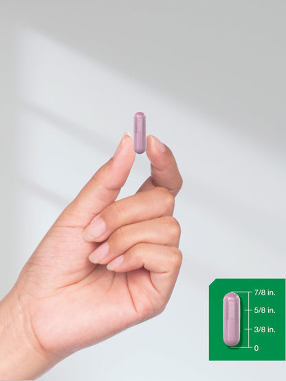 Horbäach Beet Root Powder Capsules | 220 Pills | Herbal Extract | Non-GMO, Gluten Free Supplement Horbäach