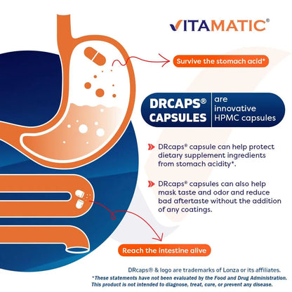 Vitamatic Lactobacillus Plantarum - 20 Billion per DR Capsule - 60 Count - Digestive Support - Made with Prebiotic Inulin Fiber Vitamatic
