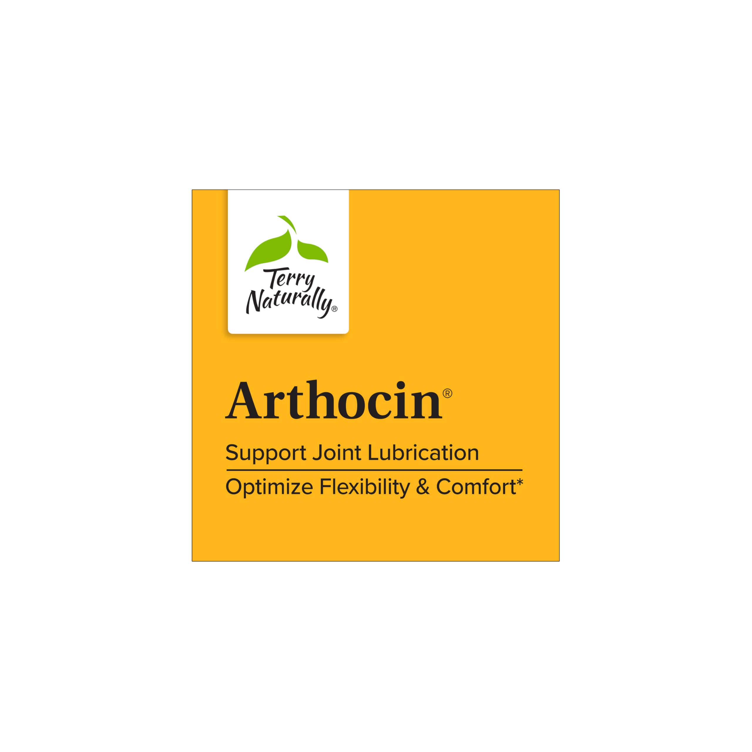 Terry Naturally Arthocin - Boswellia Serrata Capsules with Devil's Claw & Curcumin - Supplement to Support Joint & Spine Health - Herbal Supplement Aids Comfort & Absorption - 60 Capsules Terry Naturally buy australia supplements