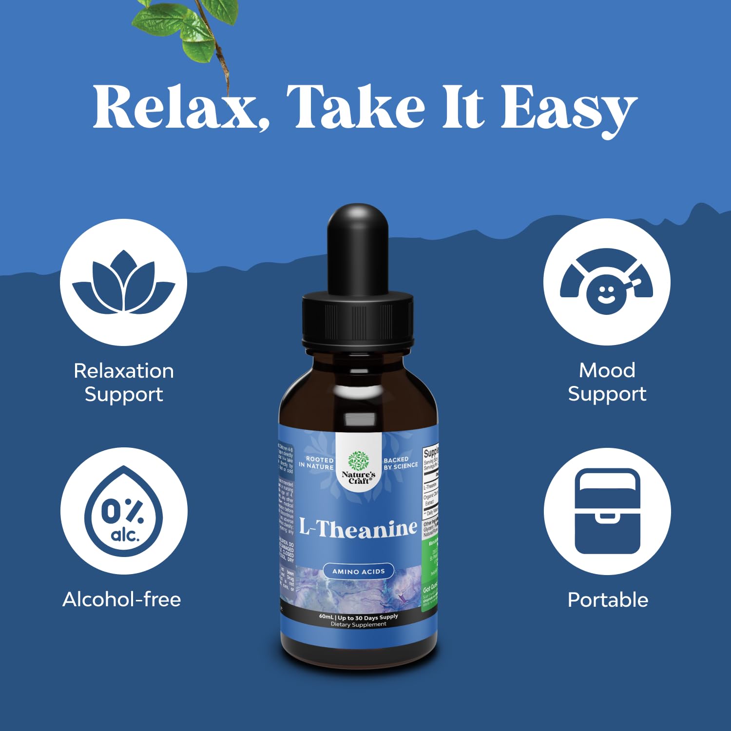 High Absorption L-Theanine Liquid Drops - Nootropic Focus Supplement with L Theanine 200mg Per Serving and Chamomile Extract Supplement for Adults and Kids Relaxation and Focus - 2 Fl Oz Natures Craft buy australia supplements
