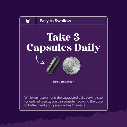Activated Charcoal Capsules 1200mg - Coconut Charcoal Pills Stomach - 180ct | Activated charcoal powder in capsules / tablets (carbon activado), 1200mg / serving - digestive comfort & healthy gut Gsupps Australia