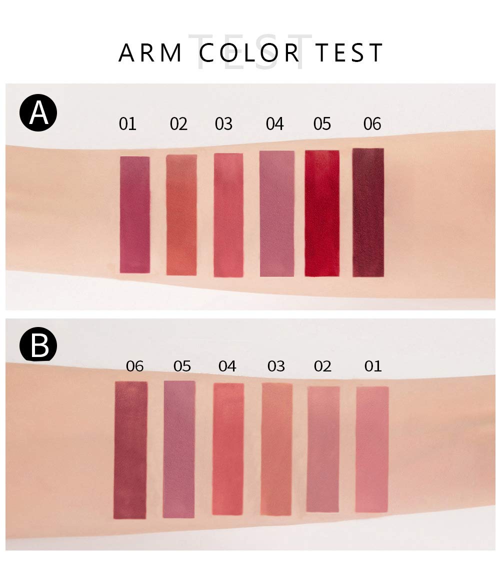 6Pcs Matte Liquid Lipstick Set, Waterproof Non Stick Cup Lip Gloss (Set A) BestLand