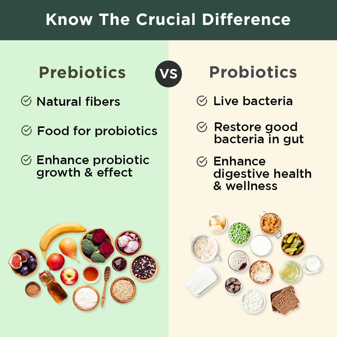 BB Company Previtalize | Prebiotics for Women, Prebiotic Fiber for Gut Health, Digestive Health | Food for Good Probiotics BB Company