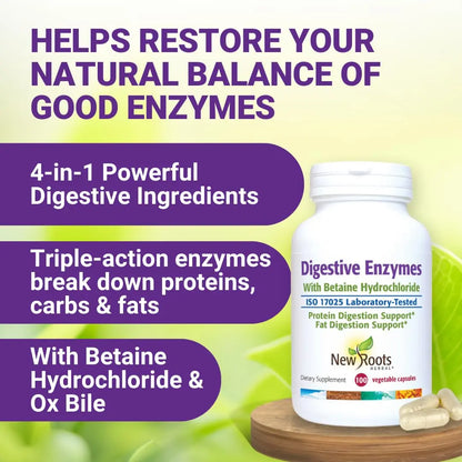 Digestive Enzymes with Ox Bile and Betaine HCl (100 Caps) Ox Bile Supplements for No Gallbladder with Papain & Pepsin A | Pancrease Cleanse & Detox NEW ROOTS HERBAL