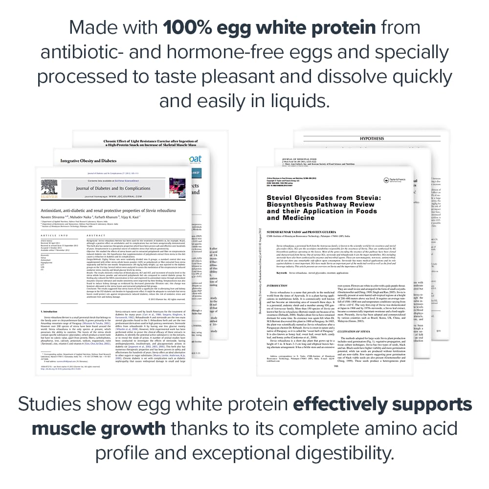 LEGION Egg+ Protein Powder with BCAAs - Naturally Sweetened and Flavored Egg White Protein Powder - Fast Digesting Protein for Muscle Growth and Strength, Chocolate, 20 Servings
