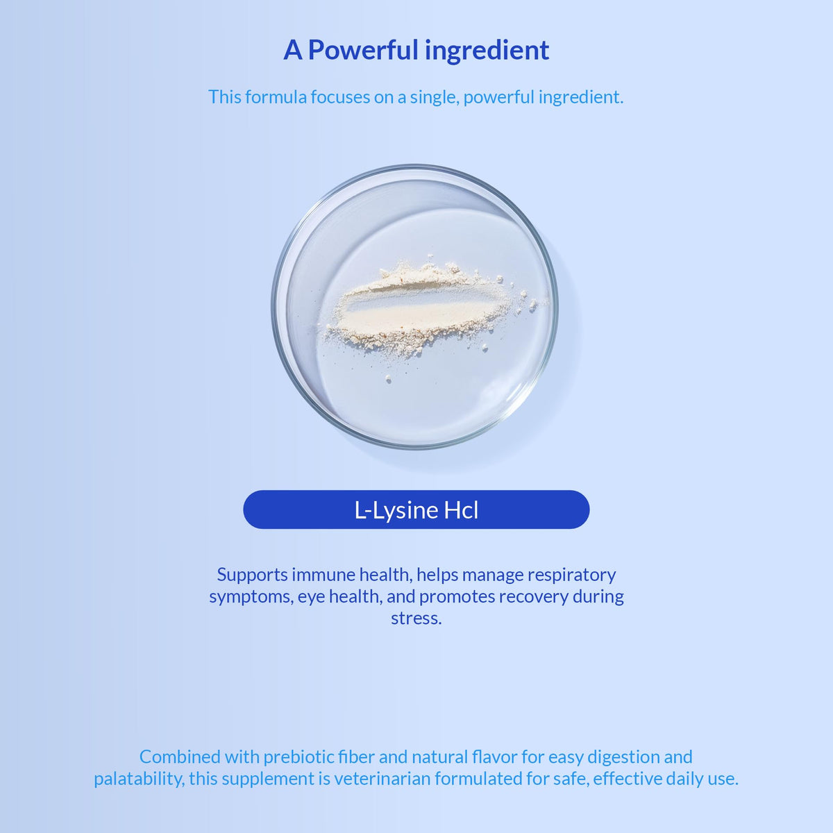 L-Lysine Supplement for Cats 900mg/scoop - Cat Supplement for Sneezing and Runny Nose, Cold, Immune Support, Eye Function Coco and Luna