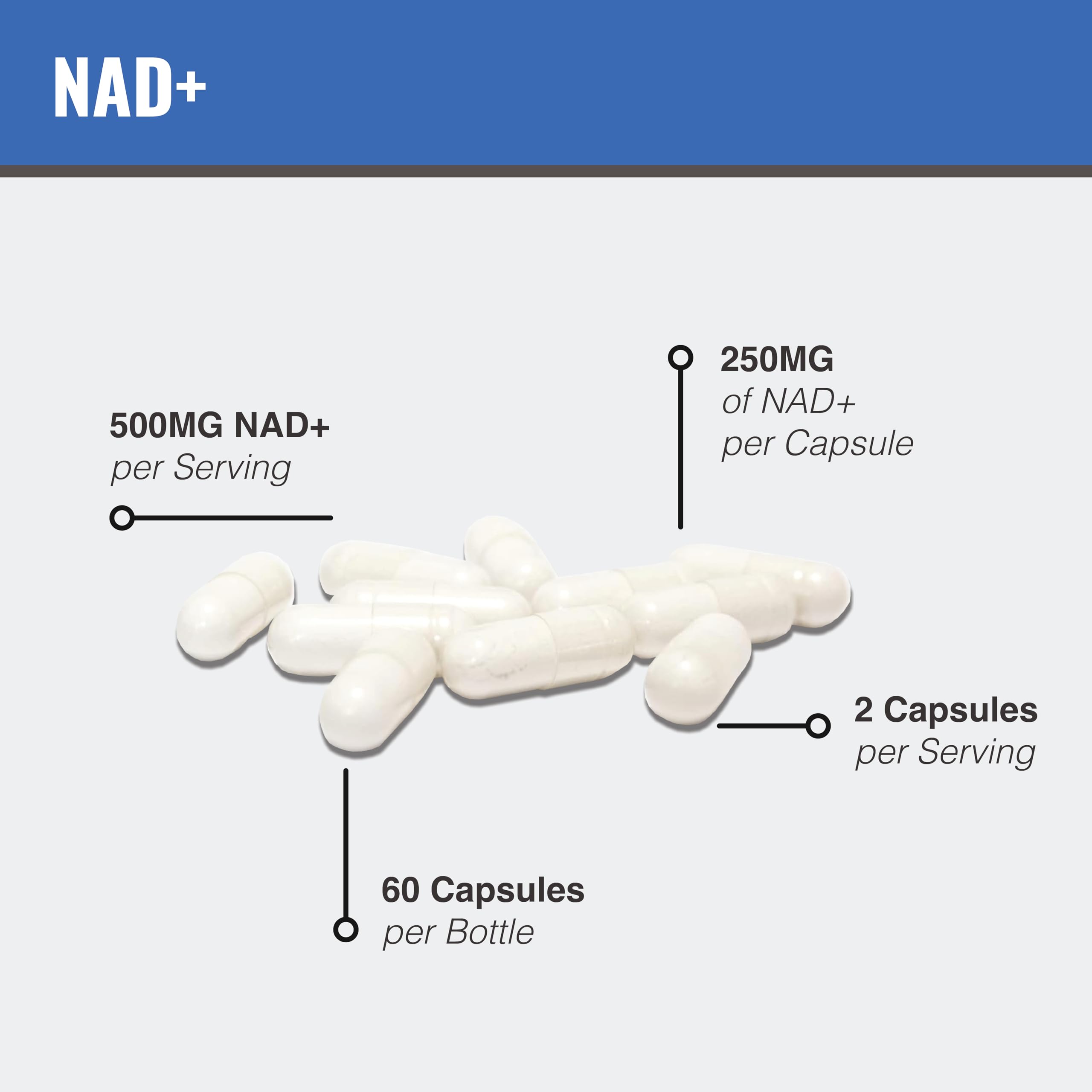 MAAC10 Liposomal NAD Supplement 500mg Serving (2x250mg Capsules) Actual Nicotinamide Adenine Dinucleotide MAAC10 buy australia supplements