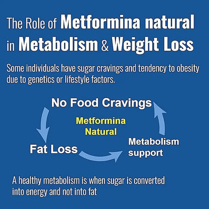 METFORMINA Natural - Weight Loss Aid - Metabolism Support - Dr Salomon (60 Capsules) Ni una dieta más