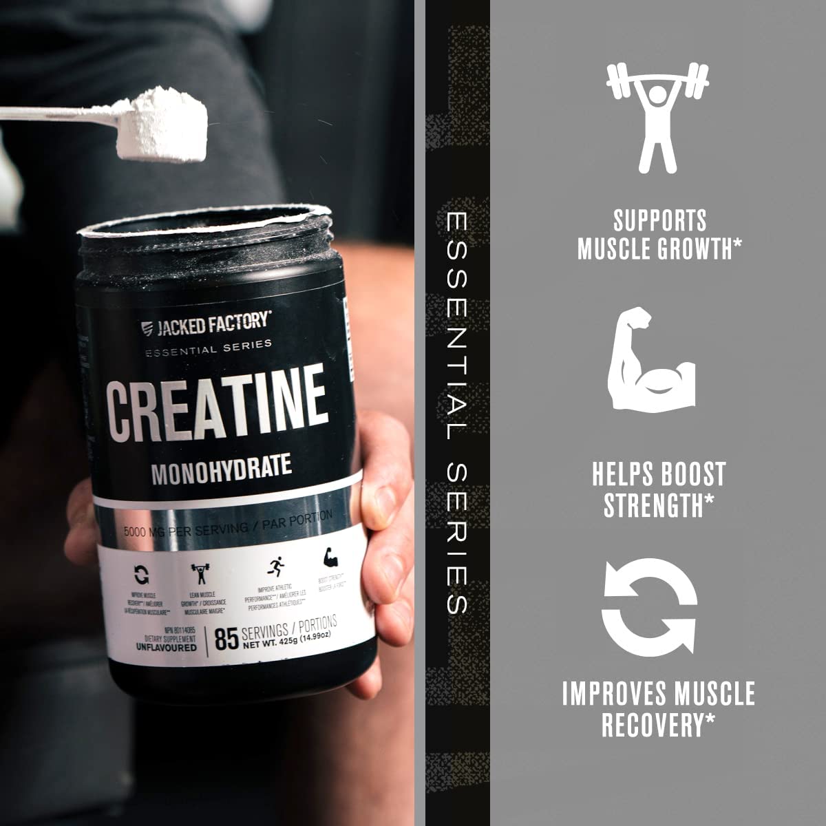 Nitrosurge Pre-Workout & Creatine Monohydrate - Pre Workout Powder With Creatine Jacked Factory buy australia supplements